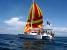 sail5
