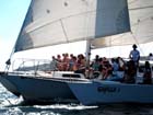 sail1