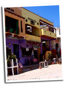 Sayulita Office